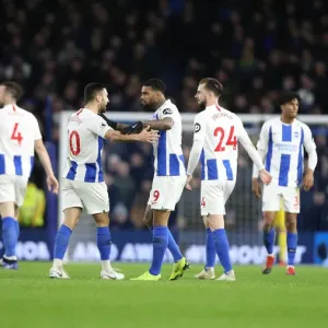 Premier League Showdown: Brighton & Hove Albion vs. Everton at American Express Community Stadium (29DEC18)