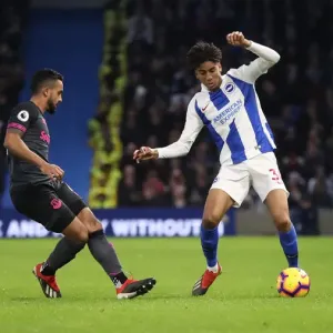 Premier League Showdown: Brighton & Hove Albion vs. Everton at American Express Community Stadium (29DEC18)