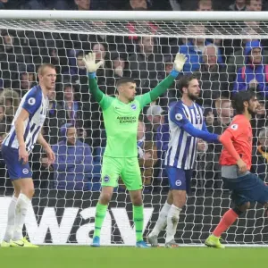 Premier League Showdown: Brighton & Hove Albion vs. Everton (26OCT19) - American Express Community Stadium Premier League Showdown: Brighton & Hove Albion vs. Everton (26OCT19) - American Express Community Stadium
