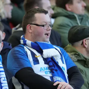 Premier League Showdown: Brighton & Hove Albion vs. Crystal Palace (29 February 2020) - American Express Community Stadium Premier League Showdown: Brighton & Hove Albion vs. Crystal Palace (29 February 2020) - American Express Community Stadium