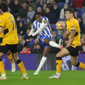 Premier League Showdown: Brighton & Hove Albion vs. Wolverhampton Wanderers (15DEC21) Premier League Showdown: Brighton & Hove Albion vs. Wolverhampton Wanderers (15DEC21)
