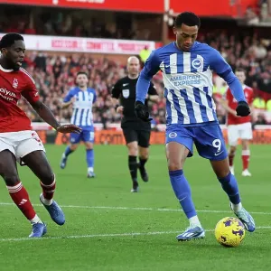 Premier League Showdown: Brighton and Hove Albion vs. Nottingham Forest (25NOV23) Premier League Showdown: Brighton and Hove Albion vs. Nottingham Forest (25NOV23)