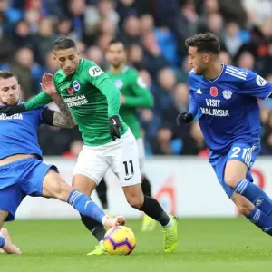 Premier League Showdown: Cardiff City vs Brighton and Hove Albion (10Nov18) Premier League Showdown: Cardiff City vs Brighton and Hove Albion (10Nov18)