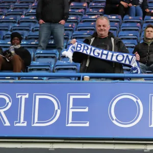 Premier League Showdown: Chelsea vs. Brighton and Hove Albion at Stamford Bridge (03APR19)