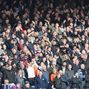 Premier League Showdown: Crystal Palace vs. Brighton and Hove Albion at Selhurst Park (9th March 2019) Premier League Showdown: Crystal Palace vs. Brighton and Hove Albion at Selhurst Park (9th March 2019)