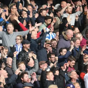 Premier League Showdown: Crystal Palace vs. Brighton and Hove Albion at Selhurst Park (9th March 2019) Premier League Showdown: Crystal Palace vs. Brighton and Hove Albion at Selhurst Park (9th March 2019)
