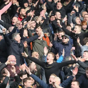 Premier League Showdown: Crystal Palace vs. Brighton and Hove Albion at Selhurst Park (9th March 2019) Premier League Showdown: Crystal Palace vs. Brighton and Hove Albion at Selhurst Park (9th March 2019)