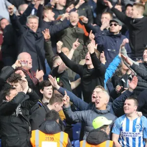 Premier League Showdown: Crystal Palace vs. Brighton and Hove Albion at Selhurst Park (9th March 2019) Premier League Showdown: Crystal Palace vs. Brighton and Hove Albion at Selhurst Park (9th March 2019)
