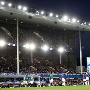Premier League Showdown: Everton vs. Brighton and Hove Albion at Goodison Park (03NOV18)