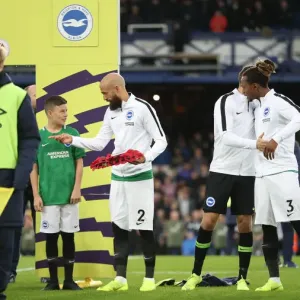 Premier League Showdown: Everton vs. Brighton and Hove Albion at Goodison Park (03NOV18)