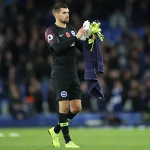 Premier League Showdown: Everton vs. Brighton & Hove Albion at Goodison Park (03NOV18)