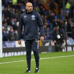 Premier League Showdown: Everton vs. Brighton & Hove Albion at Goodison Park (03NOV18)