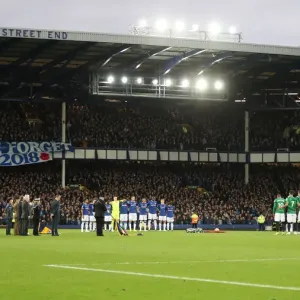 Premier League Showdown: Everton vs. Brighton & Hove Albion at Goodison Park (03NOV18)