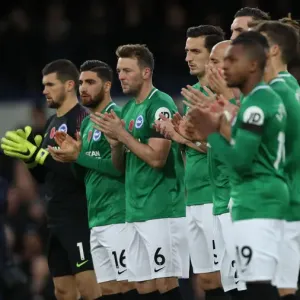 Premier League Showdown: Everton vs. Brighton and Hove Albion at Goodison Park (03NOV18)