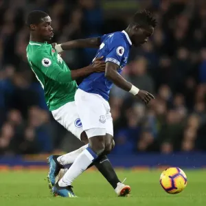 Premier League Showdown: Everton vs. Brighton & Hove Albion at Goodison Park (03NOV18)