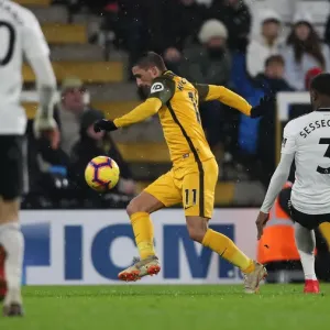Premier League Showdown: Fulham vs. Brighton and Hove Albion at Craven Cottage (29 JAN 19) Premier League Showdown: Fulham vs. Brighton and Hove Albion at Craven Cottage (29 JAN 19)