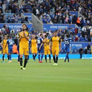 Premier League Showdown: Leicester City vs. Brighton & Hove Albion (19Aug17)