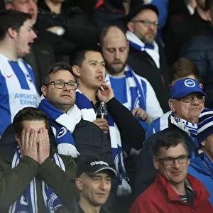 Premier League Showdown: Leicester City vs. Brighton and Hove Albion at The King Power Stadium - 26th February 2019