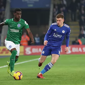 Premier League Showdown: Leicester City vs. Brighton & Hove Albion at The King Power Stadium - 26th February 2019