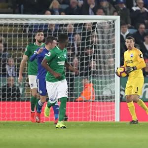Premier League Showdown: Leicester City vs. Brighton & Hove Albion at The King Power Stadium - 26th February 2019