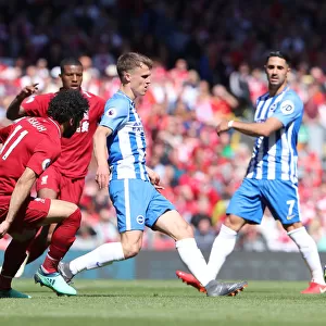 Premier League Showdown: Liverpool vs. Brighton & Hove Albion (13MAY18)