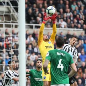 Premier League Showdown: Newcastle United vs. Brighton and Hove Albion at St. James Park (20Oct18)