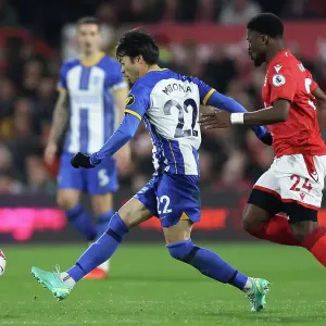 Premier League Showdown: Nottingham Forest vs. Brighton and Hove Albion (26APR23) Premier League Showdown: Nottingham Forest vs. Brighton and Hove Albion (26APR23)