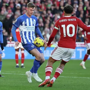 Premier League Showdown: Nottingham Forest vs. Brighton & Hove Albion (25NOV23) Premier League Showdown: Nottingham Forest vs. Brighton & Hove Albion (25NOV23)