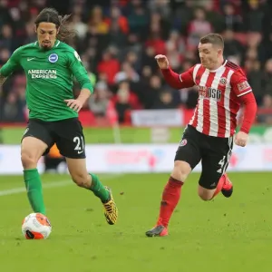 Premier League Showdown: Sheffield United vs. Brighton & Hove Albion at Bramall Lane (22FEB20) Premier League Showdown: Sheffield United vs. Brighton & Hove Albion at Bramall Lane (22FEB20)