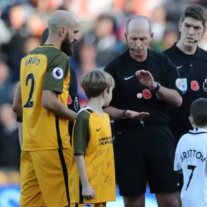 Premier League Showdown: Swansea City vs. Brighton and Hove Albion at Liberty Stadium (Nov. 4, 2017) Premier League Showdown: Swansea City vs. Brighton and Hove Albion at Liberty Stadium (Nov. 4, 2017)
