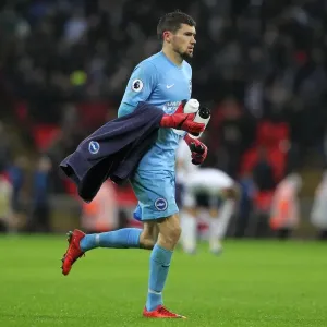 Premier League Showdown: Tottenham Hotspur vs. Brighton and Hove Albion at Wembley Stadium (13DEC17) Premier League Showdown: Tottenham Hotspur vs. Brighton and Hove Albion at Wembley Stadium (13DEC17)
