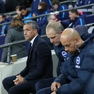 Premier League Showdown: Tottenham vs. Brighton at Wembley Stadium (13DEC17) Premier League Showdown: Tottenham vs. Brighton at Wembley Stadium (13DEC17)