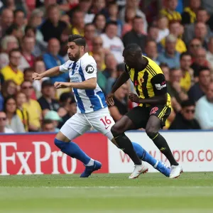 Premier League Showdown: Watford vs. Brighton & Hove Albion at Vicarage Road (11AUG18)