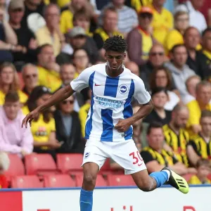 Premier League Showdown: Watford vs. Brighton & Hove Albion at Vicarage Road (11AUG18)