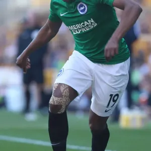 Premier League Showdown: Wolverhampton Wanderers vs. Brighton & Hove Albion at Molineux Stadium (20APR19) Premier League Showdown: Wolverhampton Wanderers vs. Brighton & Hove Albion at Molineux Stadium (20APR19)
