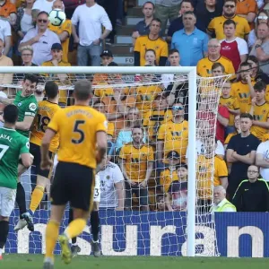 Premier League Showdown: Wolverhampton Wanderers vs. Brighton and Hove Albion at Molineux Stadium (20APR19) Premier League Showdown: Wolverhampton Wanderers vs. Brighton and Hove Albion at Molineux Stadium (20APR19)