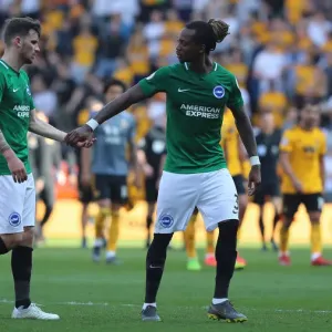 Premier League Showdown: Wolverhampton Wanderers vs. Brighton and Hove Albion at Molineux Stadium (20APR19) Premier League Showdown: Wolverhampton Wanderers vs. Brighton and Hove Albion at Molineux Stadium (20APR19)