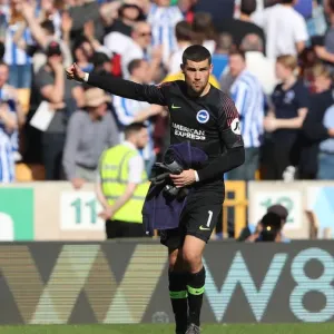 Premier League Showdown: Wolverhampton Wanderers vs. Brighton and Hove Albion at Molineux Stadium (20APR19) Premier League Showdown: Wolverhampton Wanderers vs. Brighton and Hove Albion at Molineux Stadium (20APR19)