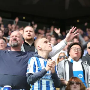 Premier League Showdown: Wolves vs. Brighton at Molineux Stadium (30APR22) Premier League Showdown: Wolves vs. Brighton at Molineux Stadium (30APR22)