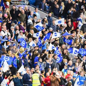 Premier League Women: Brighton & Hove Albion vs. Leicester City - Showdown at American Express Community Stadium (14th November 2021) Premier League Women: Brighton & Hove Albion vs. Leicester City - Showdown at American Express Community Stadium (14th November 2021)