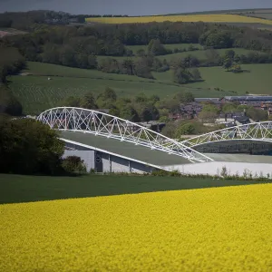 Rapeseed Field American Express Community Stadium 04MAY18