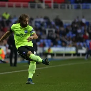 Reading vs. Brighton and Hove Albion: Sky Bet Championship Clash at Madejski Stadium (31.10.2015) Reading vs. Brighton and Hove Albion: Sky Bet Championship Clash at Madejski Stadium (31.10.2015)