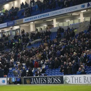The Roaring Albion Fan: Brighton and Hove vs. Wigan Athletic, American Express Community Stadium, 2014 The Roaring Albion Fan: Brighton and Hove vs. Wigan Athletic, American Express Community Stadium, 2014
