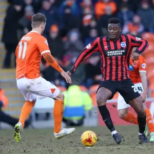 Rohan Ince in Action: Blackpool vs. Brighton and Hove Albion, Sky Bet Championship (31st January 2015) Rohan Ince in Action: Blackpool vs. Brighton and Hove Albion, Sky Bet Championship (31st January 2015)