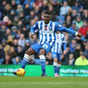 Rohan Ince in Action: Brighton & Hove Albion vs. Wigan Athletic, American Express Community Stadium, November 2014