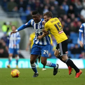 Rohan Ince in Action: Brighton & Hove Albion vs. Brentford (17Jan15)