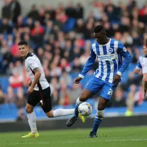 Rohan Ince in Action: Brighton and Hove Albion vs Rotherham United at American Express Community Stadium, October 2014 Rohan Ince in Action: Brighton and Hove Albion vs Rotherham United at American Express Community Stadium, October 2014