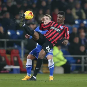 Rohan Ince in Action: Cardiff City vs. Brighton and Hove Albion, Sky Bet Championship 2015 Rohan Ince in Action: Cardiff City vs. Brighton and Hove Albion, Sky Bet Championship 2015