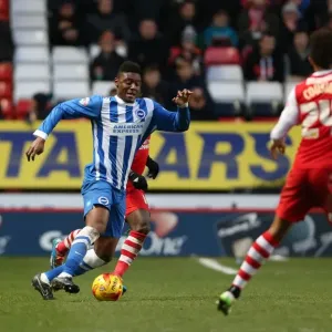 Rohan Ince in Action: Charlton Athletic vs. Brighton and Hove Albion, Sky Bet Championship, The Valley, 10 January 2015 Rohan Ince in Action: Charlton Athletic vs. Brighton and Hove Albion, Sky Bet Championship, The Valley, 10 January 2015