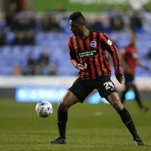 Rohan Ince in Action: Reading vs. Brighton and Hove Albion, Championship Clash at Madejski Stadium (10MAR15)